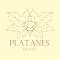 Hôtel Restaurant Platanes - KB HOTEL GROUP - Étauliers