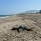 Ático junto al Mar,Acceso directo a la playa,Jardines de Nuevo Vera,WIFI