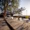 IBEX unique Desert Inn