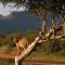 Samara Karoo Reserve