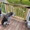 Pet-Friendly Escape 5 Miles from Blowing Rock - 布洛英罗克山