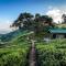 Madulkelle Tea and Eco Lodge - Kandy