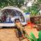 Glamping Dome Dauin Beach Resort - Dauin