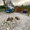 Batroun van camping