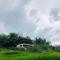 Sầns House