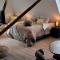 Dream Boutique Edam Coffee & Comfort