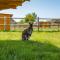 Wellness zoo apartmány Lhota - Lomnice nad Lužnicí