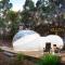Skyview Bubbletent - Eganstown