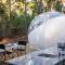 Skyview Bubbletent - Eganstown