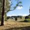 Three Paddocks