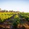 Marsanne cottage for 2 and 2 people in the heart of the vineyard
