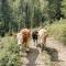 Im Ramsen - Familie Baier