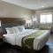 Quality Inn & Suites Near White Sands National Park - 阿拉莫戈多