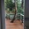 Sassafras Treehouse Private home in the Dandenong Ranges, Victoria - Sassafras