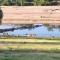 Eagles Grotto - Quiet 5 Acre Riverside Retreat on Llano River
