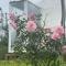 Ventosa Homefarm Măng Đen