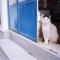 Beautiful Santorini Villa 3 Bedrooms Villa Phos Private Pool & Lovely Sea View Exo Gialos