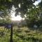 Camp Golstav - Romantic view over the hills. - Flobecq