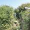 2 Sunny Hill