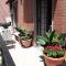 Le Case del Cortile