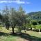 Podere il Giardino - Casale Rustico degli Ulivi con piscina e parco - Lucca - Loppeglia