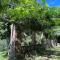 Podere il Giardino - Casale Rustico degli Ulivi con piscina e parco - Lucca