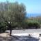 B&B Cilento Borgo San Antonio