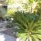 Monicas Tropical Villa