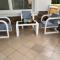 Holiday Appartment Elbe