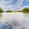 The Three Cornered Pond Retreat - Augusta