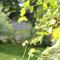 Cottage Les Quatre Saisons - Giverny