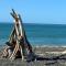 Beach Front Cottage Napier - 纳皮尔