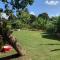 Green Queendom Farm and Lodging - Oracabessa