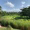 Green Queendom Farm and Lodging - Oracabessa