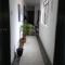 A2 Cuarto Condesa Amsterdam - 墨西哥城