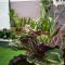Riqayraa Muslim Homestay