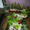 Riqayraa Muslim Homestay