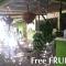 Soursop Hostel