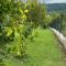 B&B Hills Bihać - 比哈奇