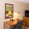 Hilton Garden Inn Buffalo Airport - Cheektowaga