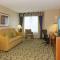 Hilton Garden Inn Buffalo Airport - Cheektowaga