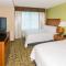 Hilton Garden Inn Buffalo Airport - Cheektowaga