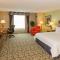 Hilton Garden Inn Buffalo Airport - Cheektowaga