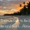 Moon Fools Hostel - Panglao