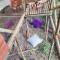 Sukha Glamping