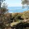 Argyll Mollymook Absolute Oceanfront