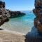 The Sea Turtle Camp