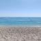 The Sea Turtle Camp