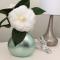 Beachport Bed & Breakfast