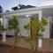 Lion Holiday Home - Anuradhapura